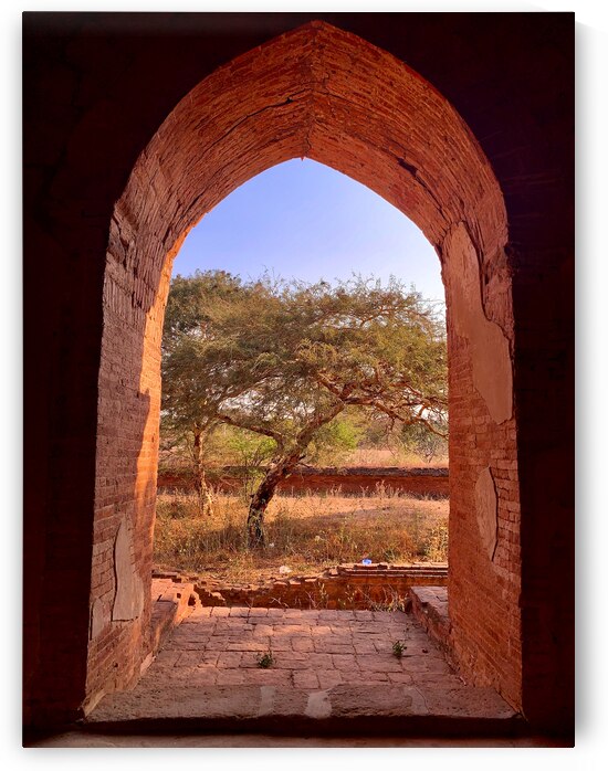 Tree by the window by Jimmy Roy Photos