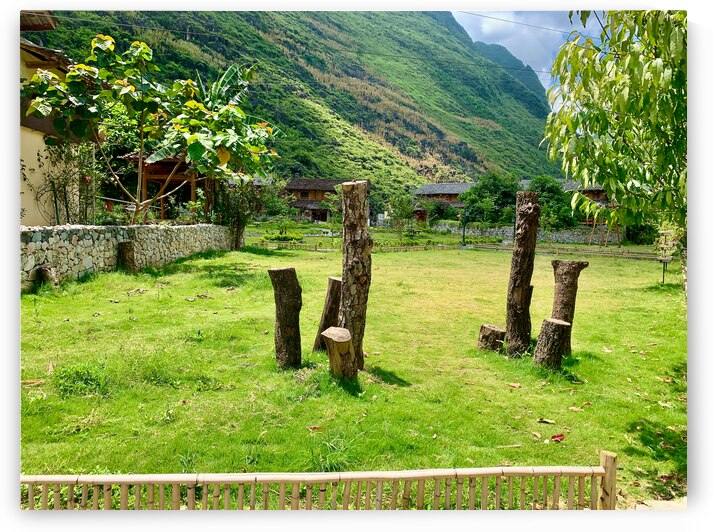 Half trees by Jimmy Roy Photos