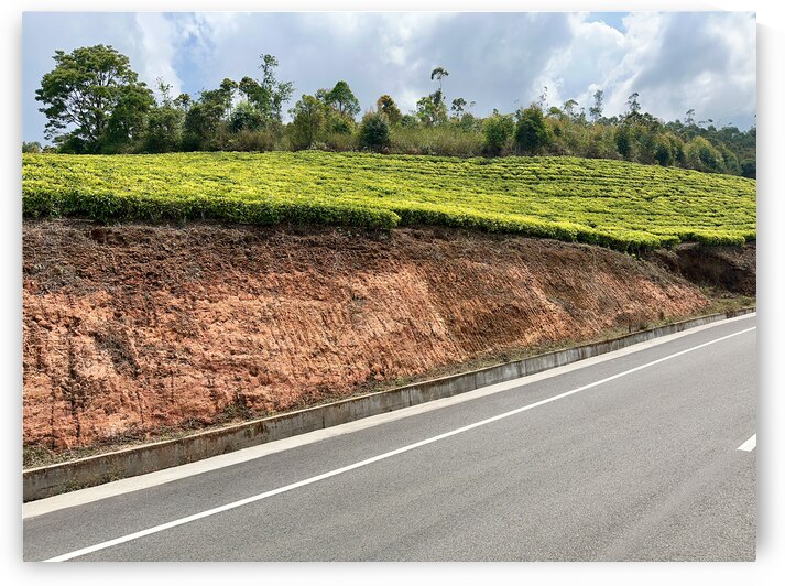 Tea by the Road by Jimmy Roy Photos
