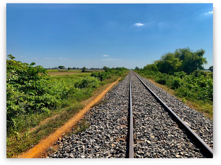 On the track by Jimmy Roy Photos