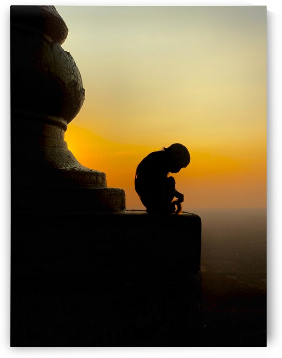 Meditative Monkey at Sunset by Jimmy Roy Photos