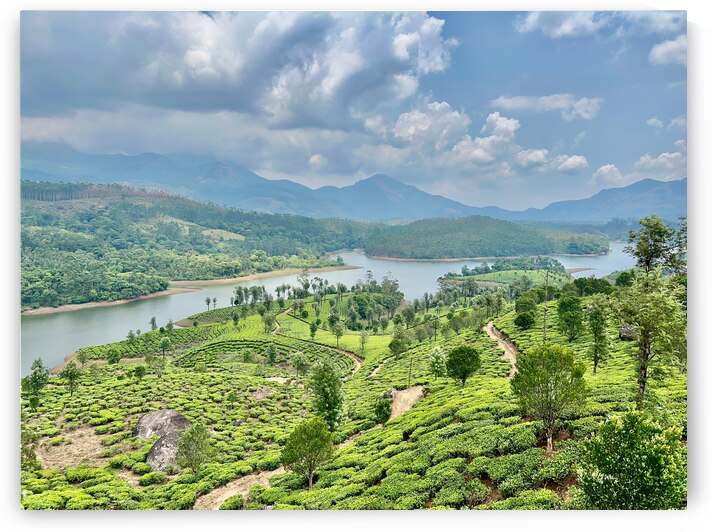 Beautiful River Through Tea Plantations by Jimmy Roy Photos