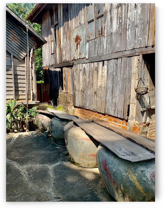 Behind the House by Jimmy Roy Photos