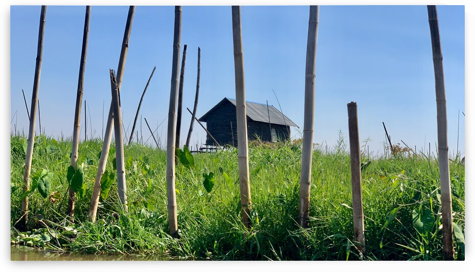 House behind the Bamboos by Jimmy Roy Photos