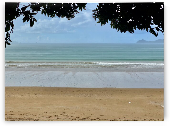 Nice Beach by Jimmy Roy Photos