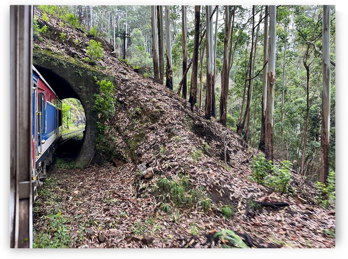 Train Through the Mini Tunnel by Jimmy Roy Photos