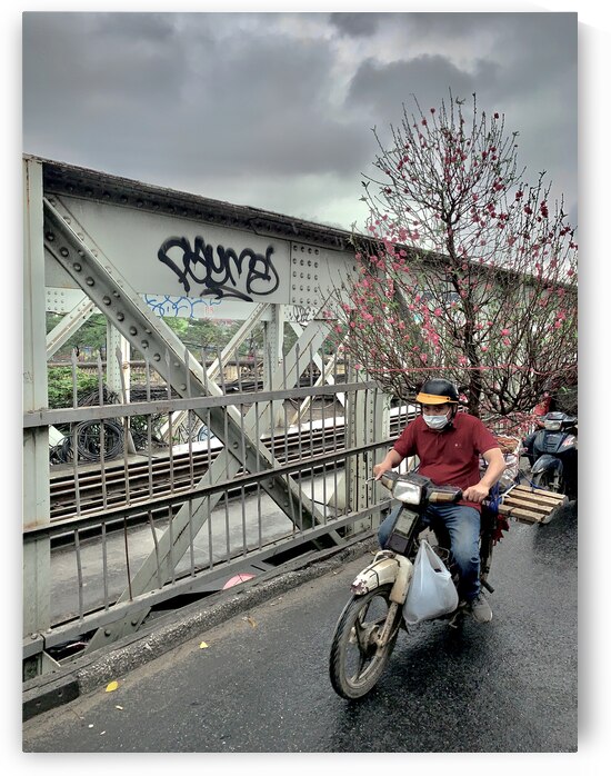 Tree on a Motorbike by Jimmy Roy Photos