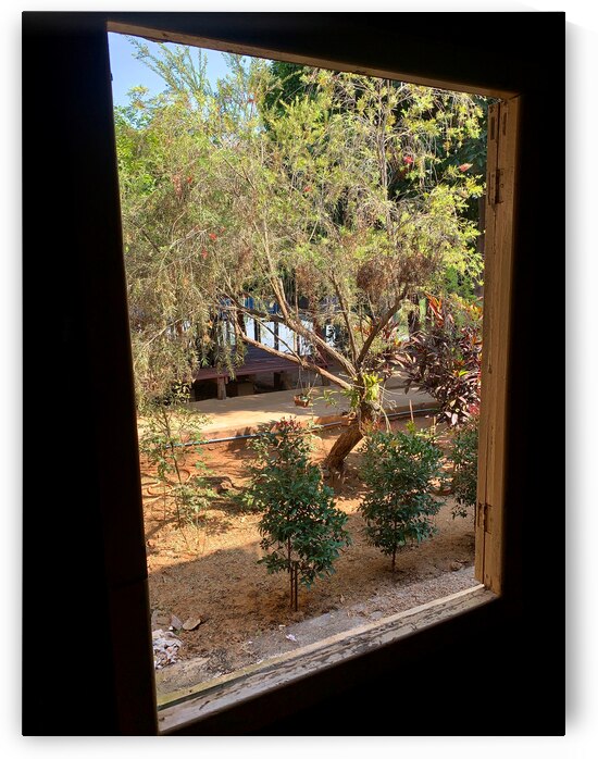 Tree by the Window 2 by Jimmy Roy Photos