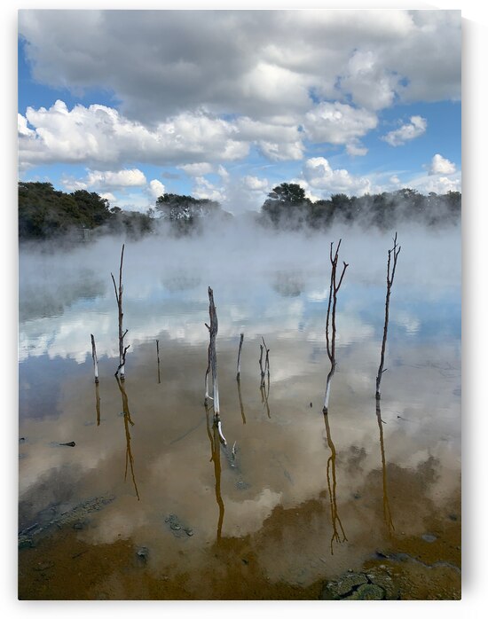 Branches reflections by Jimmy Roy Photos