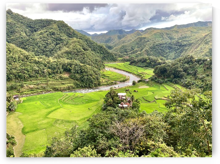 Rice Valley by Jimmy Roy Photos