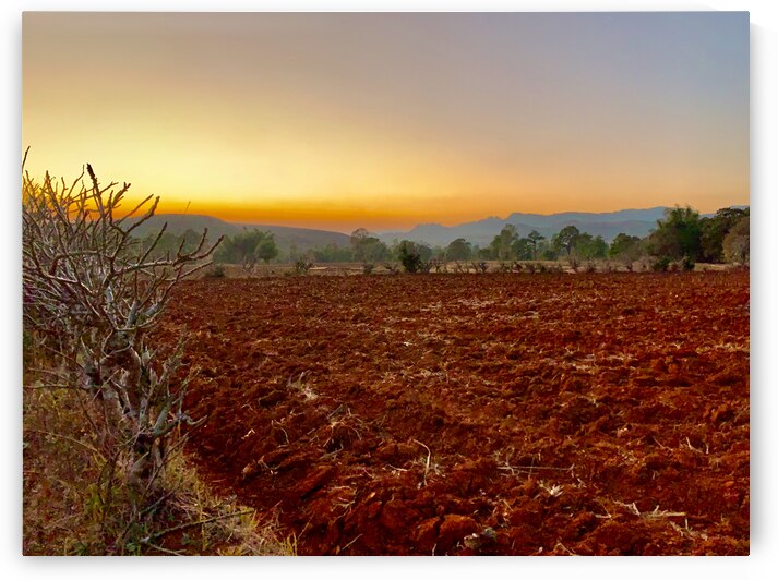 Sunset Over the Red Soil  by Jimmy Roy Photos