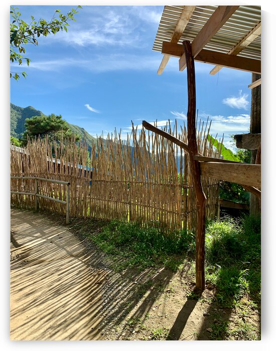Sun Through the Bamboo Fence by Jimmy Roy Photos