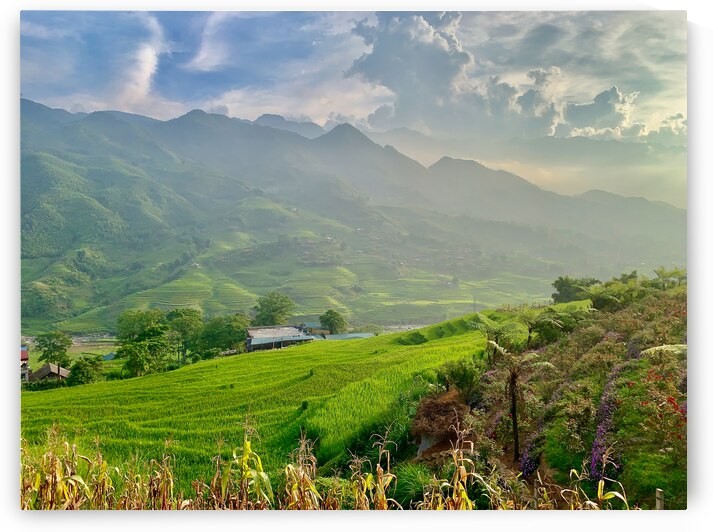 Dreamy Sunset Over the Rice Fields 2 by Jimmy Roy Photos