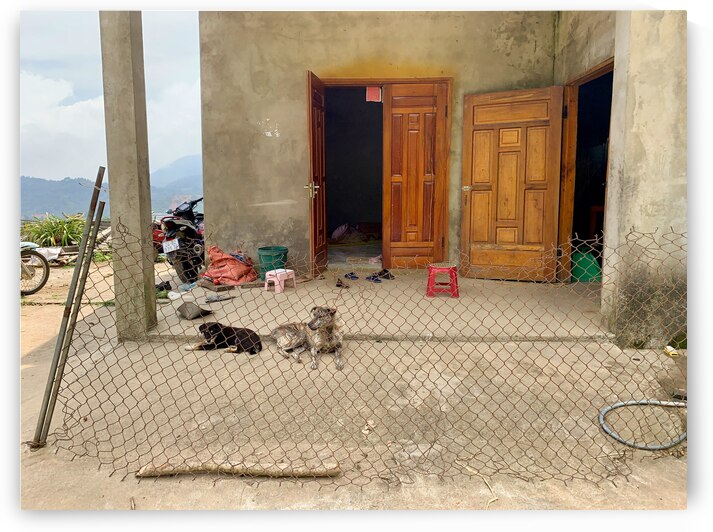 Behind the Crooked Fence by Jimmy Roy Photos