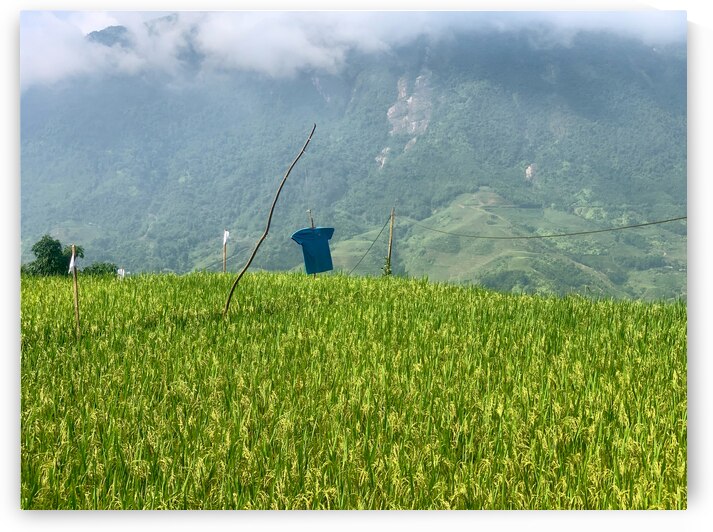 Asian Scarecrow by Jimmy Roy Photos