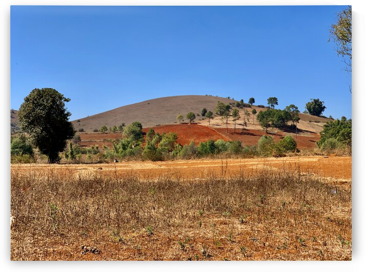 Earth Tones Hill by Jimmy Roy Photos