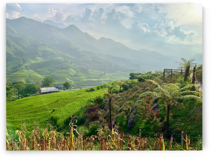 Dreamy Sunset on the Rice Fields by Jimmy Roy Photos