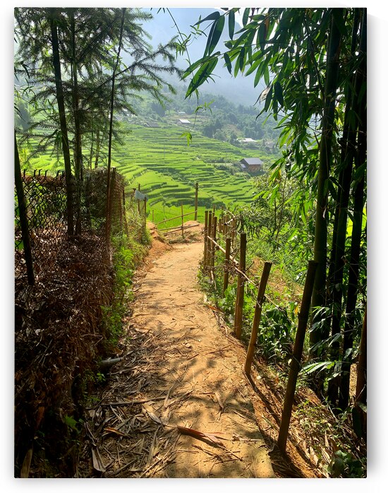 Enter the Rice Fields by Jimmy Roy Photos