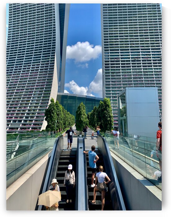 Up to the Sky by Jimmy Roy Photos