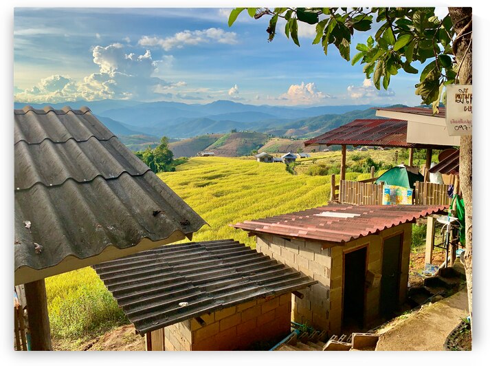 Rice Fields Village by Jimmy Roy Photos