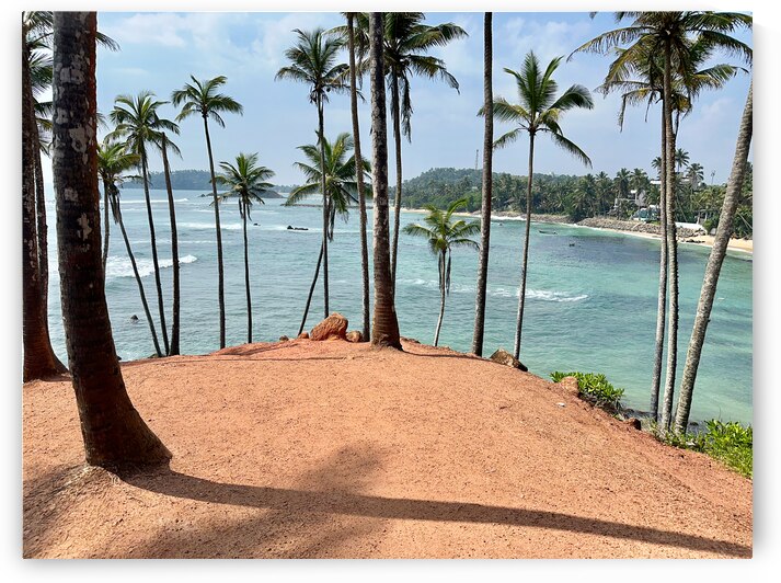 Coconut Hill by Jimmy Roy Photos