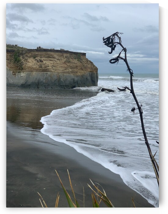 Black Sand on the Coast by Jimmy Roy Photos