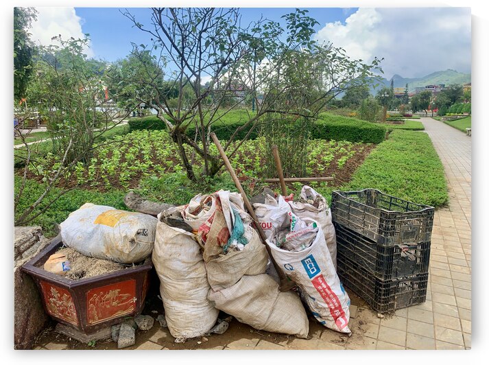 Lets Clean the Park by Jimmy Roy Photos