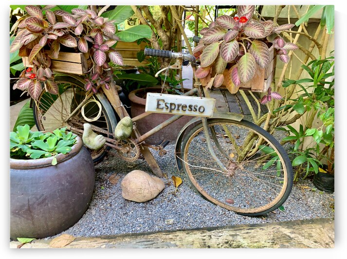 Espresso Bike by Jimmy Roy Photos