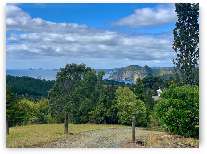 Nice View Down There by Jimmy Roy Photos