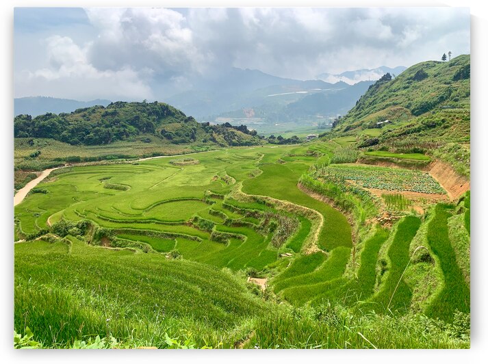 Rice Plateau by Jimmy Roy Photos