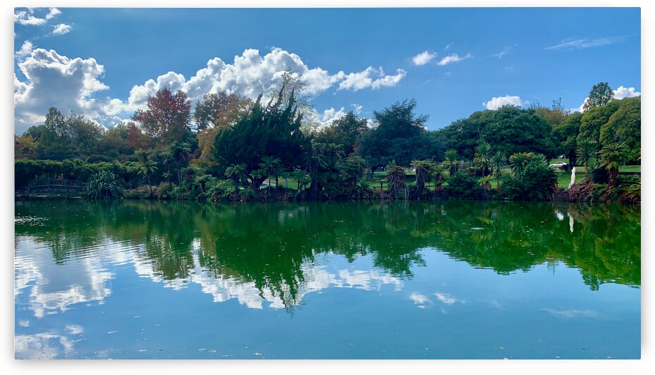Nature s Own Reflection by Jimmy Roy Photos