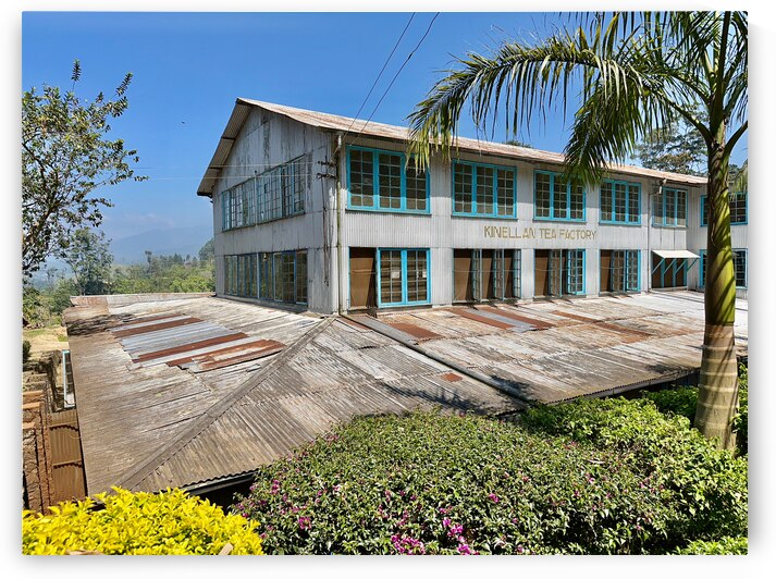 Tea Factory by Jimmy Roy Photos