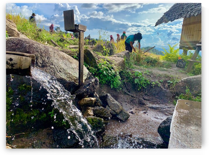 Water for the Rice Field Workers by Jimmy Roy Photos