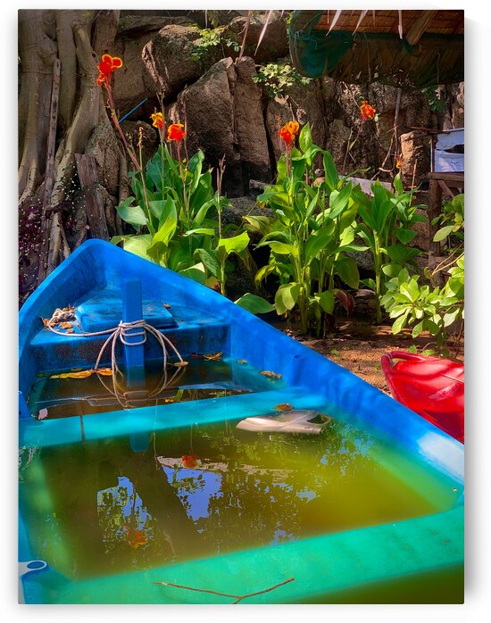 Blue  Green Boat Reflection with Flowers by Jimmy Roy Photos