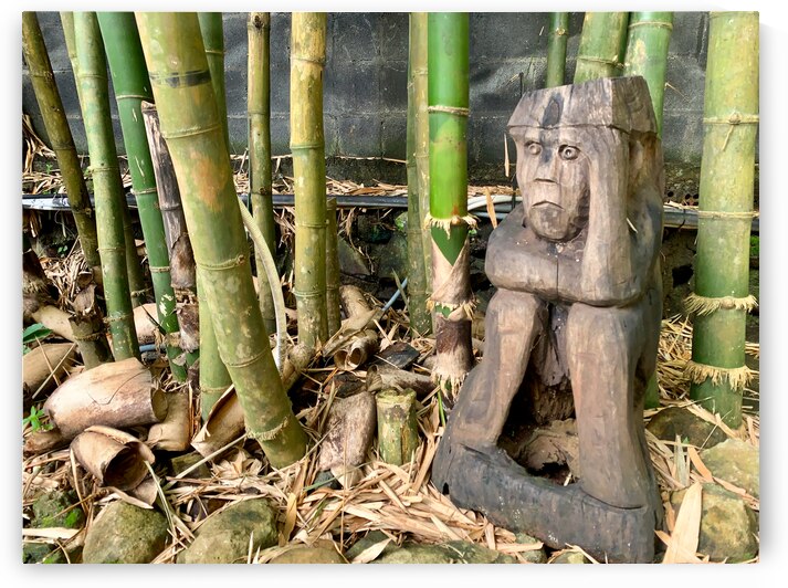 Thinking Wooden Sculpture by Jimmy Roy Photos