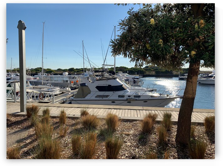 Boats at the Marina by Jimmy Roy Photos