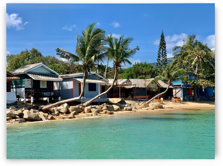 L Shaped Palm Trees Beach by Jimmy Roy Photos