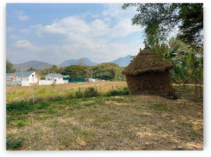 Last Straw Hut Standing by Jimmy Roy Photos