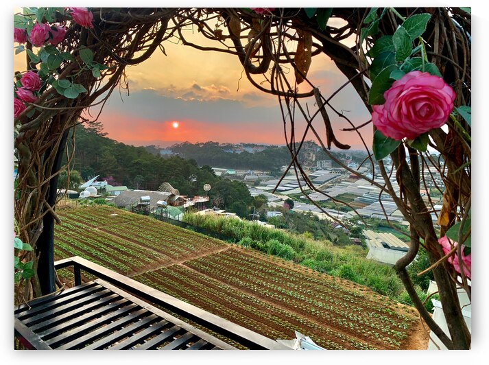 Ring of Roses for Sunset by Jimmy Roy Photos