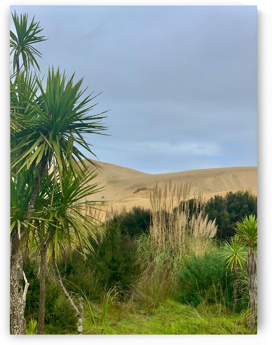Sand Dunes Ahead by Jimmy Roy Photos