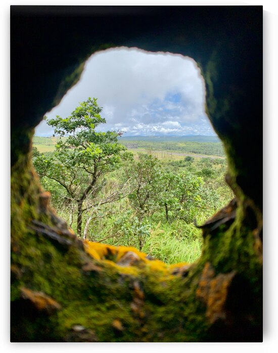 Nature Through the Hole by Jimmy Roy Photos