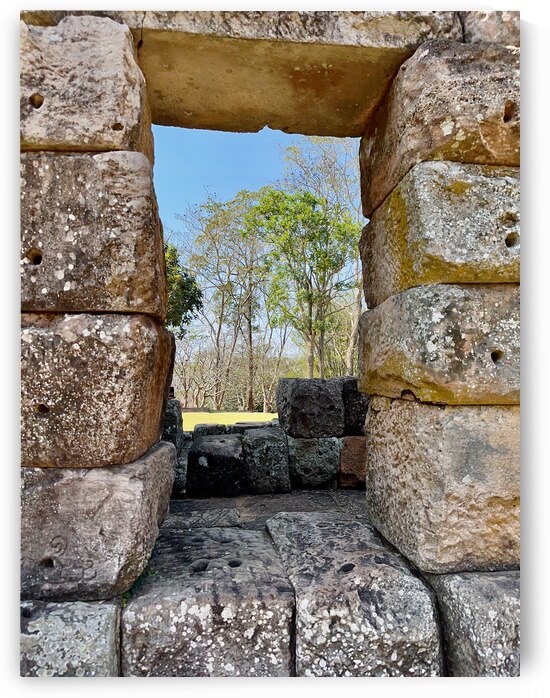 There is a Tree Outside by Jimmy Roy Photos