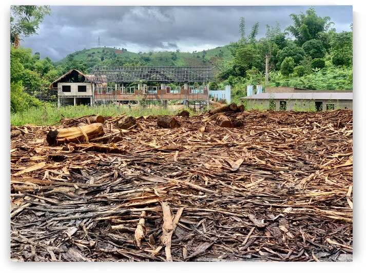 Fading Wood by Jimmy Roy Photos