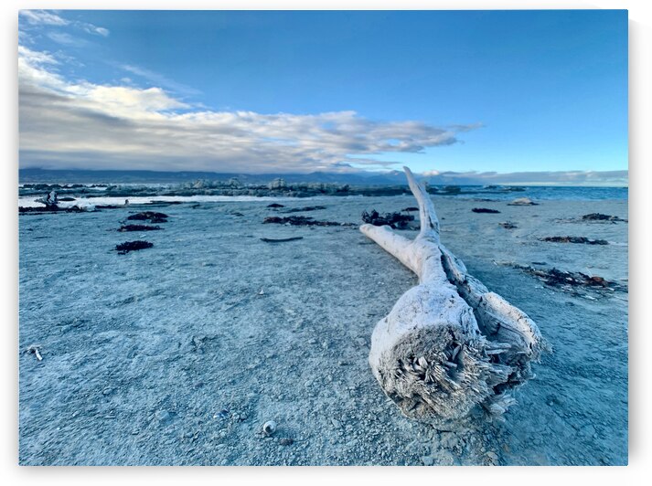 Broken Wood Perspective by Jimmy Roy Photos