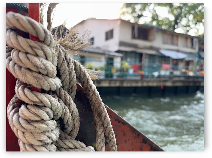 Tied to this Photo by Jimmy Roy Photos