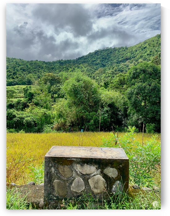 Block on Nature by Jimmy Roy Photos