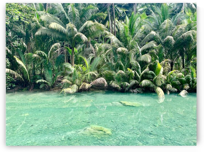 Jungle Green by Jimmy Roy Photos