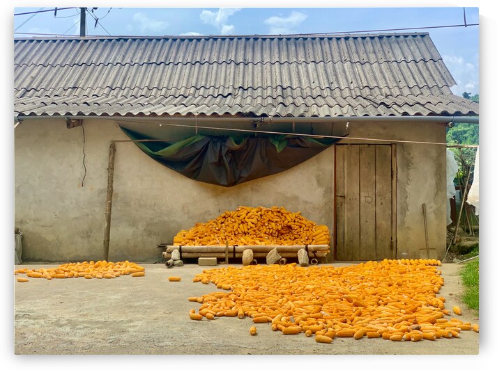 Dry Corn House by Jimmy Roy Photos