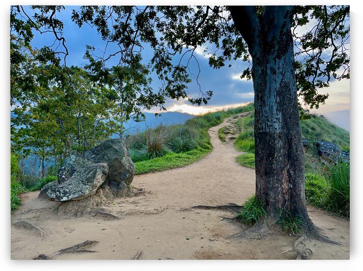 Mountain Path by Jimmy Roy Photos