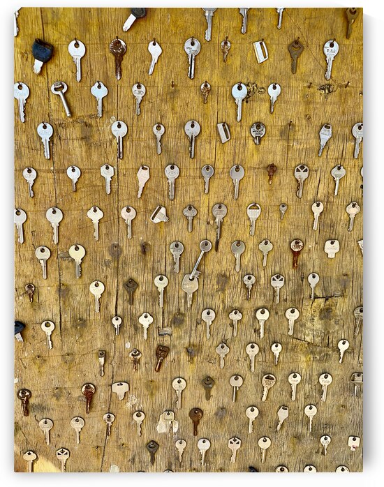 The Keyboard by Jimmy Roy Photos